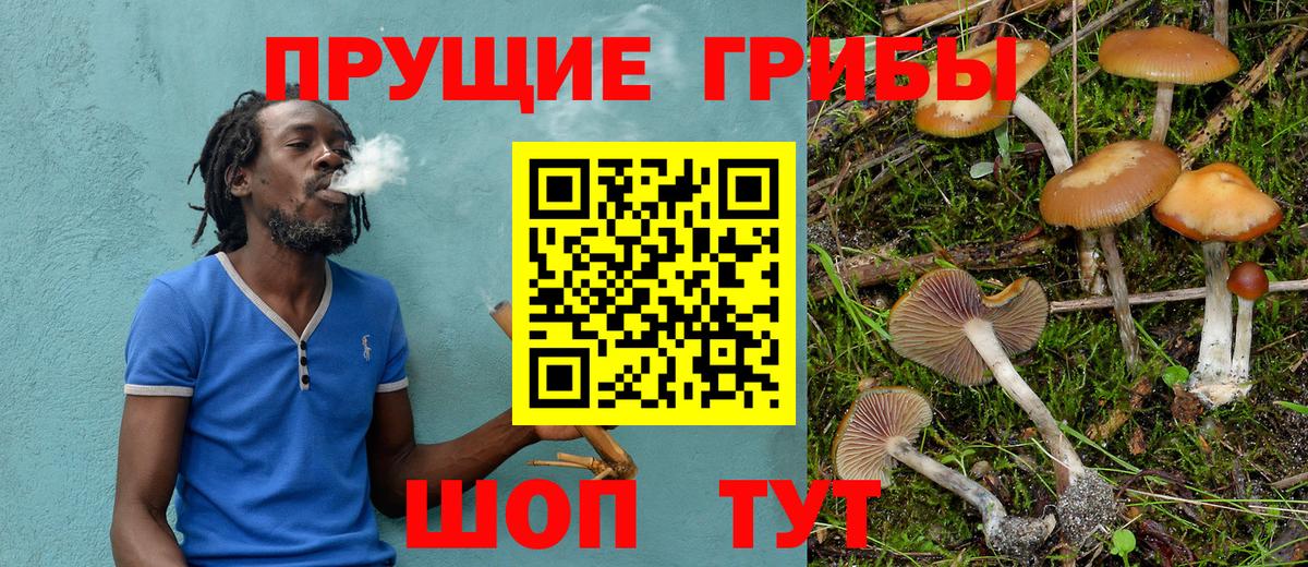 как найти   Галлюциногенные грибы Magic Shrooms  Вход с VPN  Бузулук 